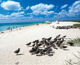 Michaelmas And Upolo Cays National Park - Hotels Melbourne 0