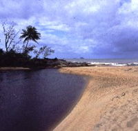Russell River National Park - Hotels Melbourne