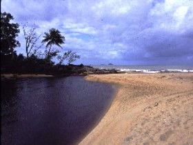 Russell River National Park - Hotels Melbourne 0