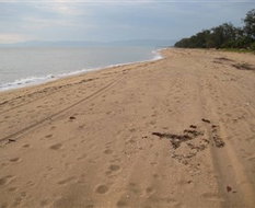 Book Ringtail Creek QLD Attractions Hotels Melbourne Hotels Melbourne