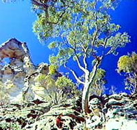 Mount Moffatt Section - Carnarvon National Park - Hotels Melbourne