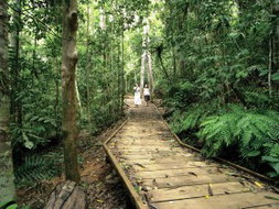 Book Malanda QLD Attractions Hotels Melbourne Hotels Melbourne