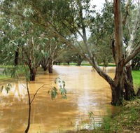 Saddliers Waterhole and Hamburg Creek - Hotels Melbourne