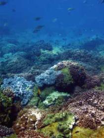 Bargara QLD Hotels Melbourne