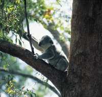 Daisy Hill Conservation Park