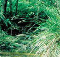 Lerderderg State Park