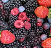 Gentle Annie Berry Gardens