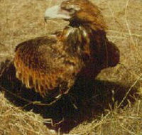 Long Forest Nature Conservation Reserve