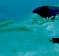 Muse - Hotels Melbourne