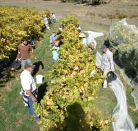 Blakes Estate Winery