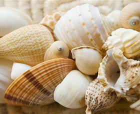 Anglesea Beach Club - Hotels Melbourne 0