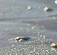 Cape Liptrap Coastal Park