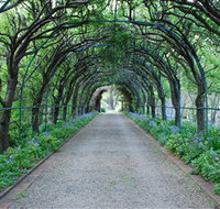Foxglove Spire Gardens