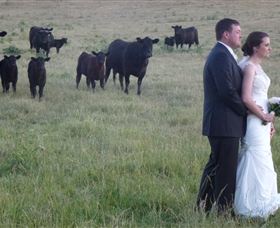 Athol Gardens - Hotels Melbourne 2