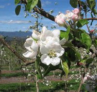 Mouat's Farm - Hotels Melbourne