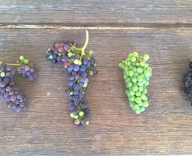 Dromana Estate - Hotels Melbourne 1