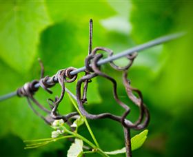 Dromana Estate - Hotels Melbourne 4