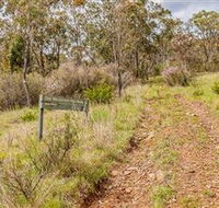 Old Mountain Road Walking Track - Hotels Melbourne