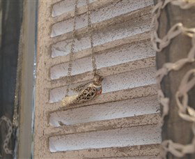 Sacs On Jenkins - Hotels Melbourne 6