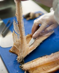 Arc-en-Ciel Trout Farm - Hotels Melbourne 2