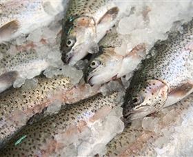 Arc-en-Ciel Trout Farm - Hotels Melbourne 3