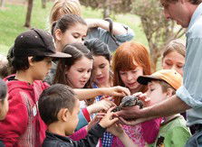 Blackbutt Reserve - Hotels Melbourne 2