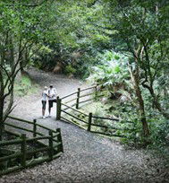 Blackbutt Reserve - Hotels Melbourne 3