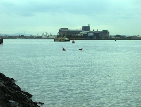 Newcastle Kayak Tours - Hotels Melbourne 5