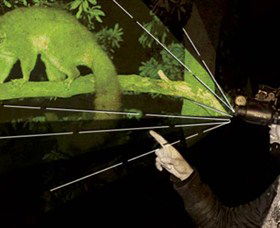 After Dark Nature Tours - Hotels Melbourne 0