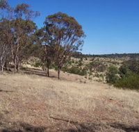 Onkaparinga River National Park