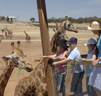 Monarto Open Range Zoo
