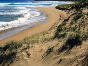 Newland Head Conservation Park - Hotels Melbourne 0