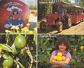 Orange World - Hotels Melbourne 1