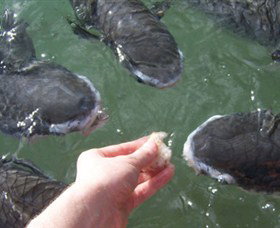 Aquascene - Hotels Melbourne 1