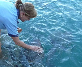 Aquascene - Hotels Melbourne 2