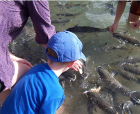 Aquascene - Hotels Melbourne 0