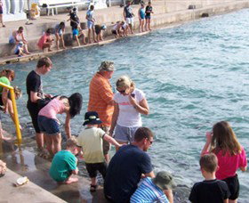 Aquascene - Hotels Melbourne 3