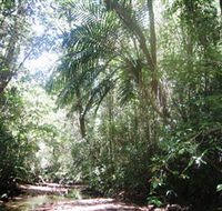 Mount Lewis National Park - Hotels Melbourne