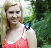 Australian Butterfly Sanctuary