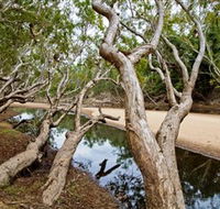 Oyala Thumotang National Park CYPAL - Hotels Melbourne