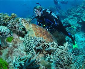 The Oasis Dive Site - Hotels Melbourne 1