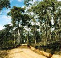 Paddys Ranges State Park