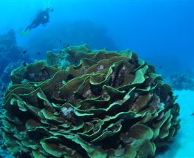 Three Sisters Dive Site - Hotels Melbourne 2