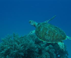 Three Sisters Dive Site - Hotels Melbourne 3