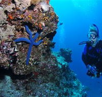 Lighthouse Bommie Dive Site - Hotels Melbourne