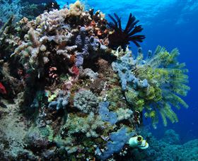 Two Towers Dive Site - Hotels Melbourne 2