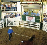 Gracemere Exhibition Complex - Hotels Melbourne