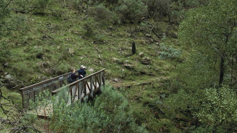 Mount Canobolas State Conservation Area - Hotels Melbourne 3