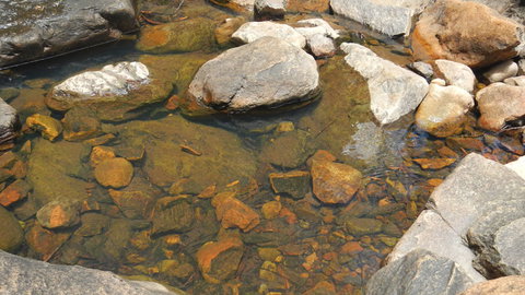 Mount Canobolas State Conservation Area - Hotels Melbourne 2