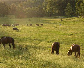 Chapman Valley Horse Riding - Hotels Melbourne 4